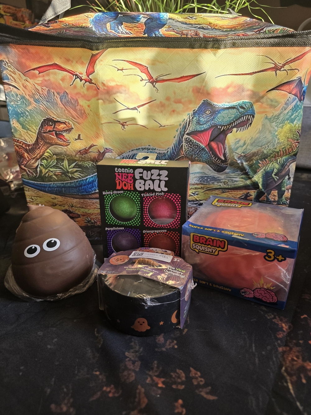 Boy's Dino Case And Squishy Bundle. Authenic Schylling NeeDoh Fuzz Balls